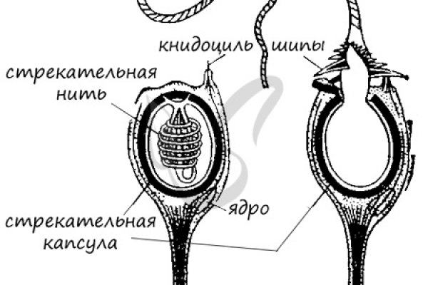 Кракен невозможно зарегистрировать пользователя