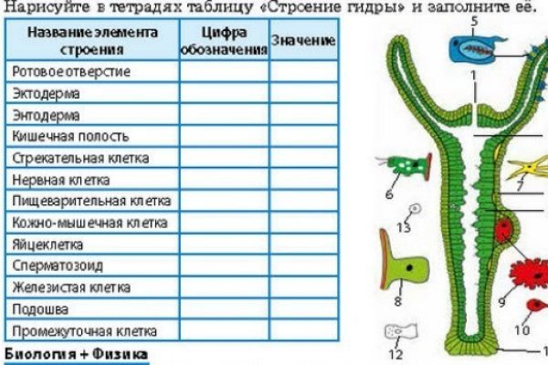 Кракен площадка даркнет