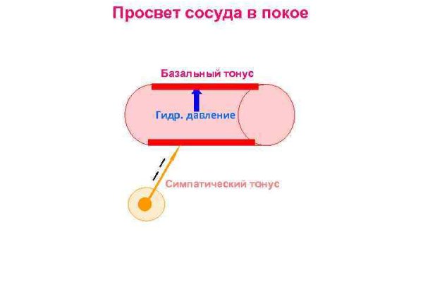 Зайти на кракен